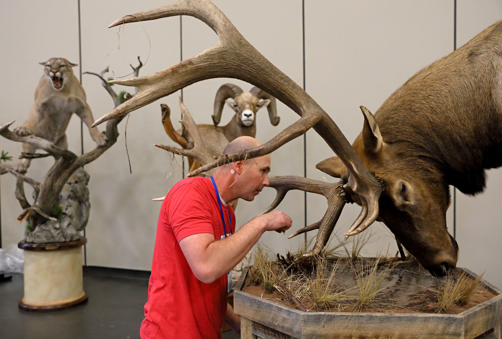 2019 World Taxidermy & Fish Carving Championships in Springfield, Mo.